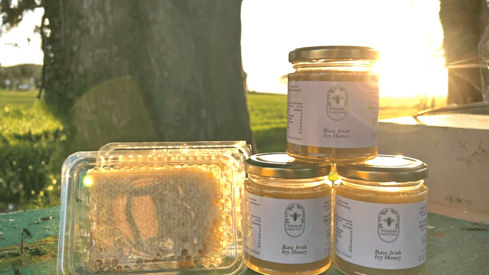 Windmill Honey Farm